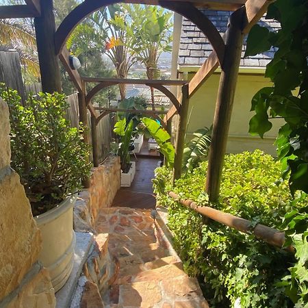 African Violet Guest Suites Noordhoek Buitenkant foto