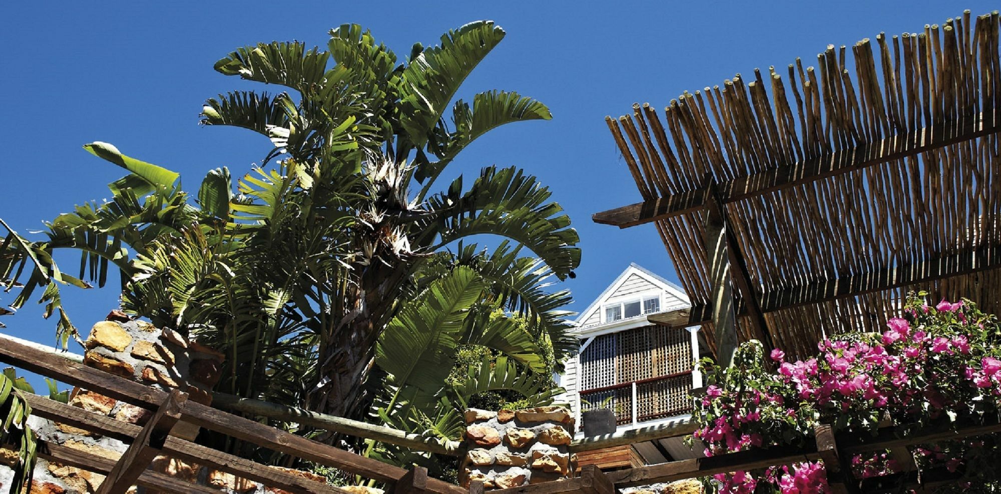 African Violet Guest Suites Noordhoek Buitenkant foto